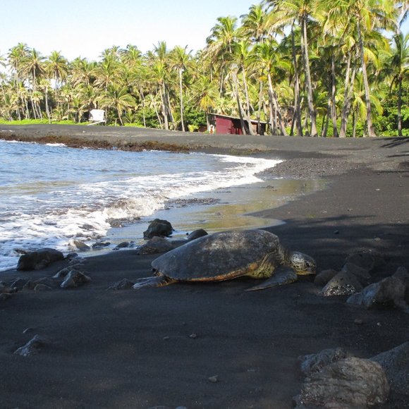 Meet your Posher, Christen - Picture 3 of 3